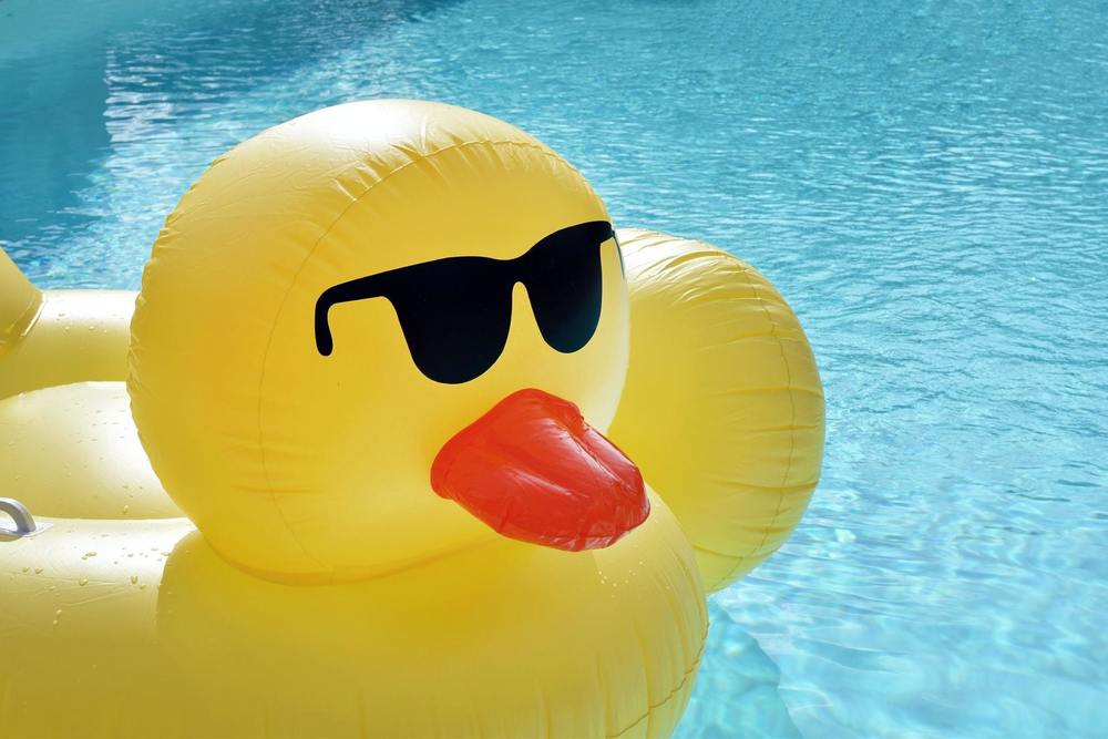 yellow rubber duck in water